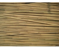200 x 180cm (6ft) x Bamboo Canes 14/16mm